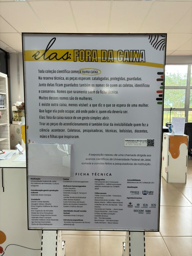 Exposição – Elas: fora da caixa
